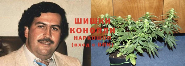 spice Козельск