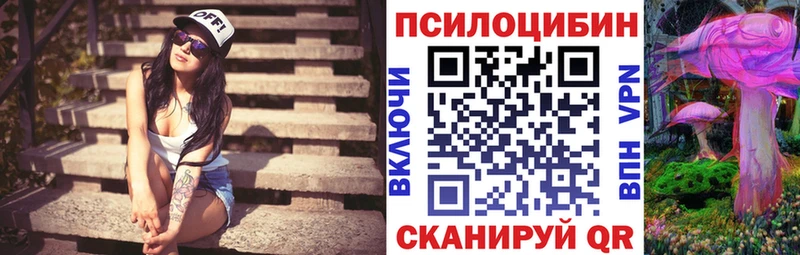 Псилоцибиновые грибы мицелий  Купить закладки  Новоржев 