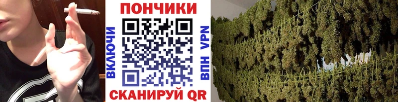 Марихуана OG Kush  Купить  Новоржев 